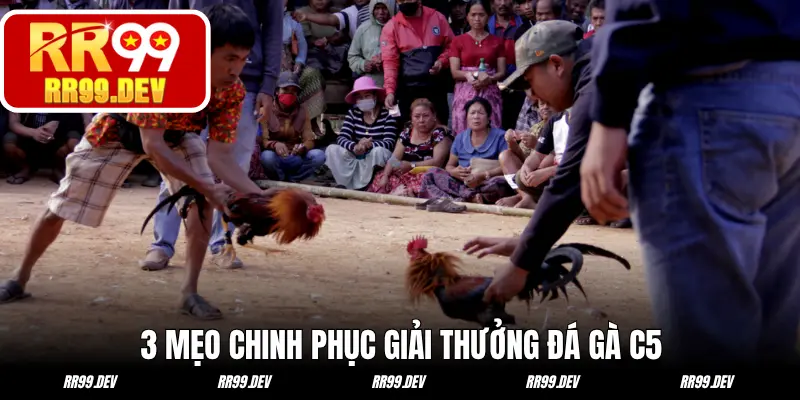 3 mẹo chinh phục giải thưởng từ chọi gà C5