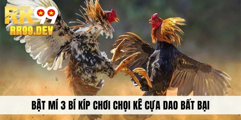 Bật mí 3 bí kíp chơi chọi kê cựa dao bất bại