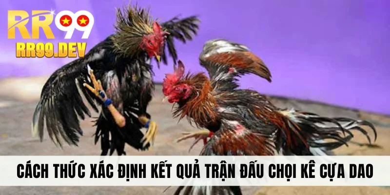 Cách thức xác định kết quả trận đấu chọi kê cựa dao