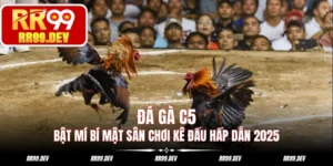 Đá gà C5