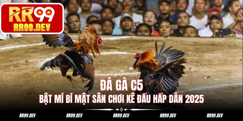 Đá gà C5