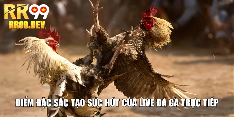 Điểm đặc sắc tạo sức hút của live đá gà trực tiếp