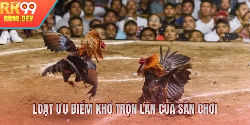 Loạt ưu điểm ấn tượng khó trộn lẫn của sân chơi