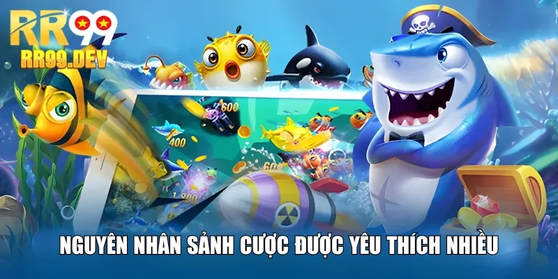 Nguyên nhân sảnh cược được yêu thích nhiều