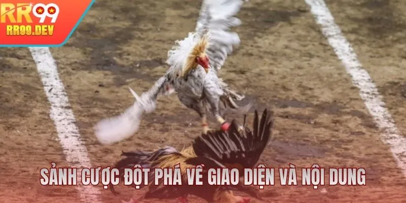 Sảnh cược đá gà RR99 đột phá về giao diện và nội dung