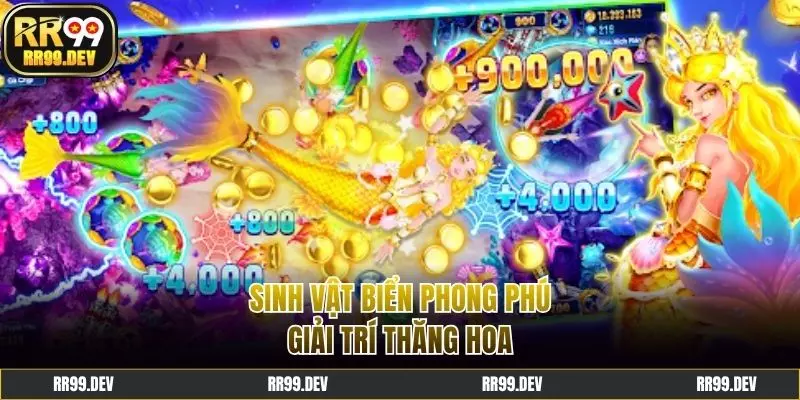 Sinh vật biển vô cùng phong phú, giá trị đổi thưởng cao