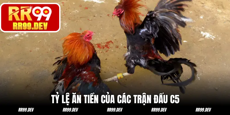 Tỷ lệ ăn tiền của các trận đấu C5